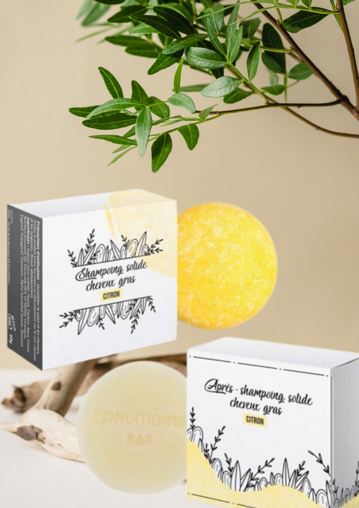 Pack Shampoing et Après Shampoing Solides pour Cheveux Gras